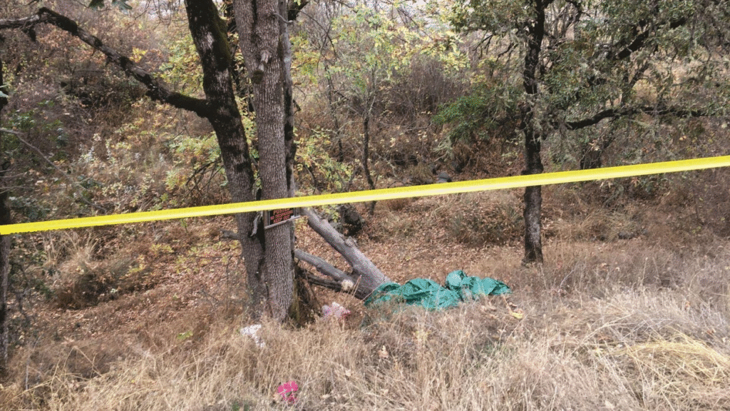 Oregon Teen Accused of Orchestrating Her Father's Death